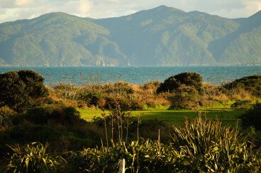 Queen Elizabeth Park Open Day family fun